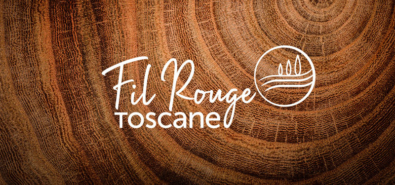 vignette-Fil-rouge
